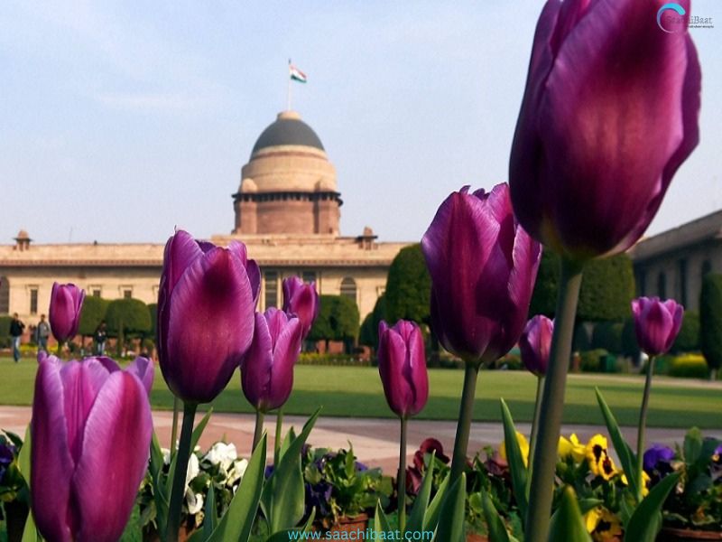 President Droupadi Murmu to inaugurate day long ‘Purple Fest’ at Amrit Udyaan in Rashtrapati Bhawan