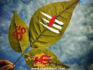 www.saachibaat.com 13