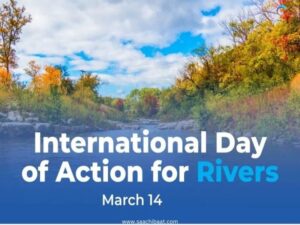 14 March - International Day of Action for Rivers