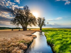 Water Crisis in India