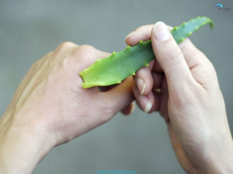 aloe vera gel