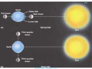 Around each new moon and full moon