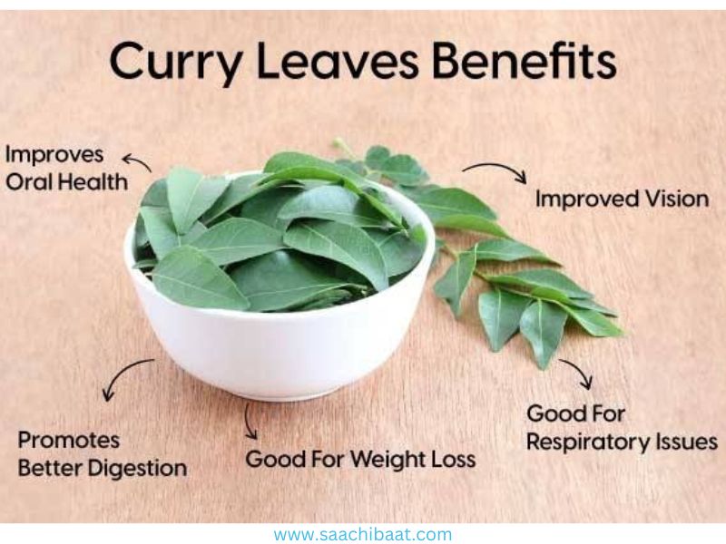 Curry leave Health Benefits