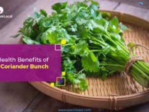 Coriander leaves