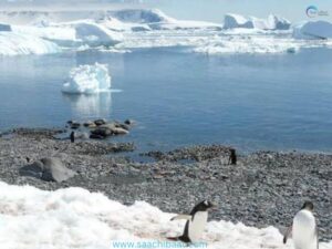 Antarctic Treaty