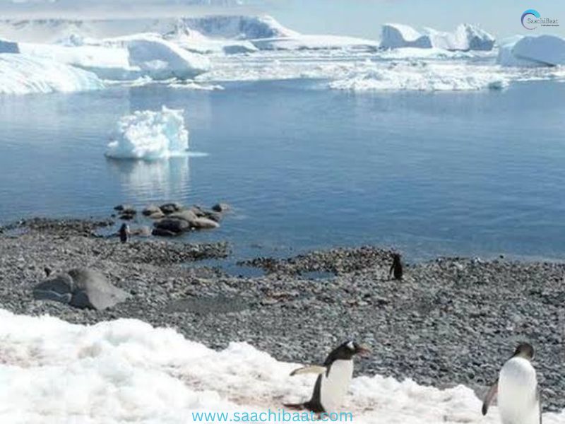 Antarctic Treaty