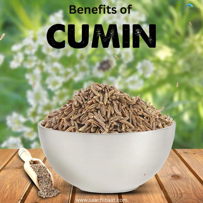 Cumin