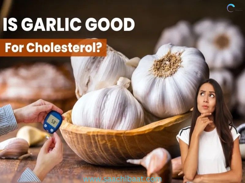 Garlic Improves Cholesterol Levels