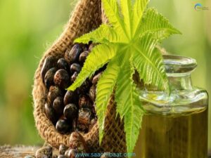 Castor oil