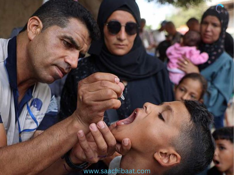 Polio vaccinations in Gaza