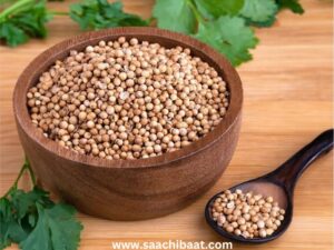 Coriander Seeds