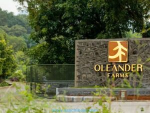 Oleander Farms