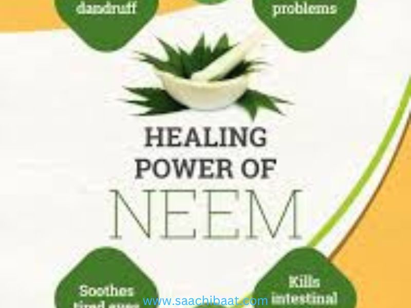 neem