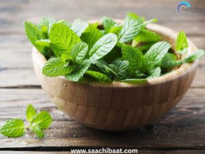 Mint leaves