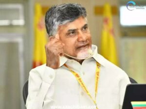 Pomegranate 2025 04 20T084948.237