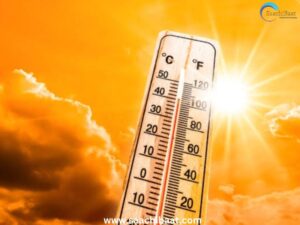 Pomegranate 2025 04 22T084438.124