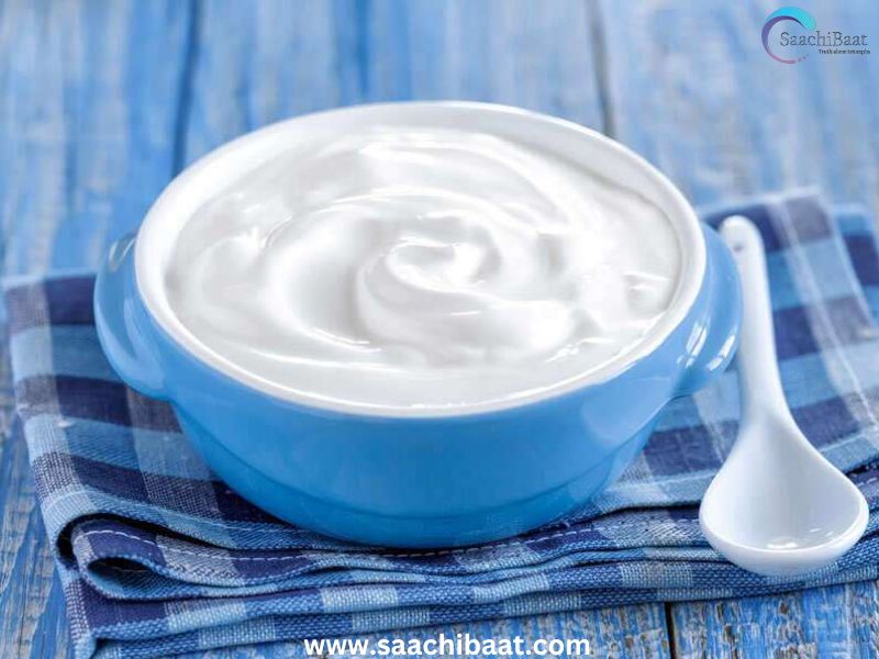 Yogurt or curd