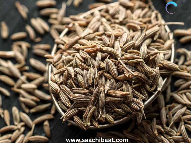 Jeera cumin