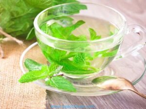 Mint leaves