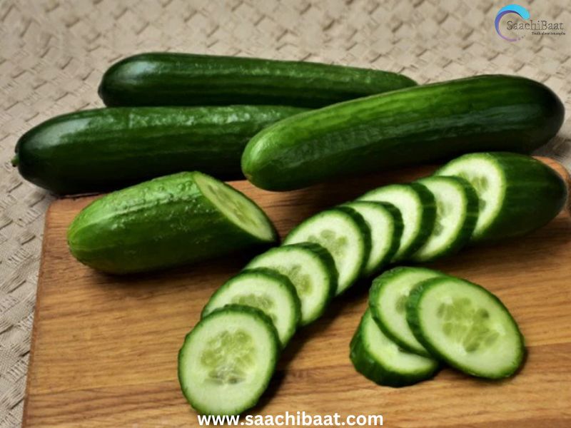 Cucumber