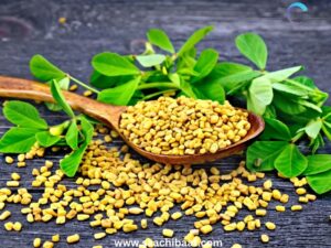 Seeds of Methi