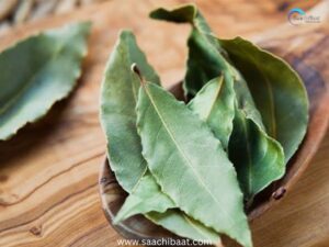 Bay leaf
