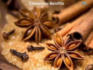 Cinnamon 1