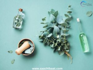 Eucalyptus and dental care