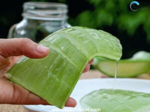 Interesting Facts - 15 July 2025 8 Rosacea Natural Treatments