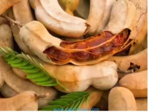 Interesting Facts - 17 July 2025 6 Tamarind 1