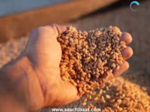 Worlds Largest Grain Storage 1