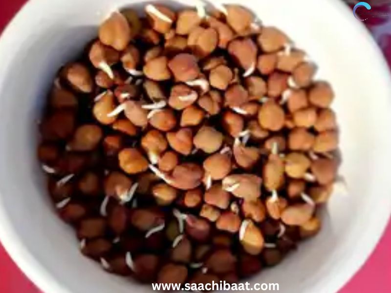 Benefits Of Soaked Chana