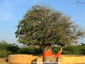 Education Section - 16 August 2025 3 KALPAVRIKSHA