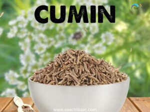 cumin seeds