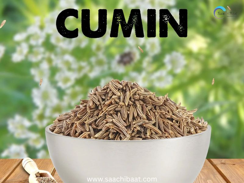 cumin seeds