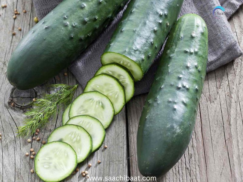 Cucumber
