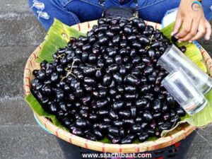 Jamun