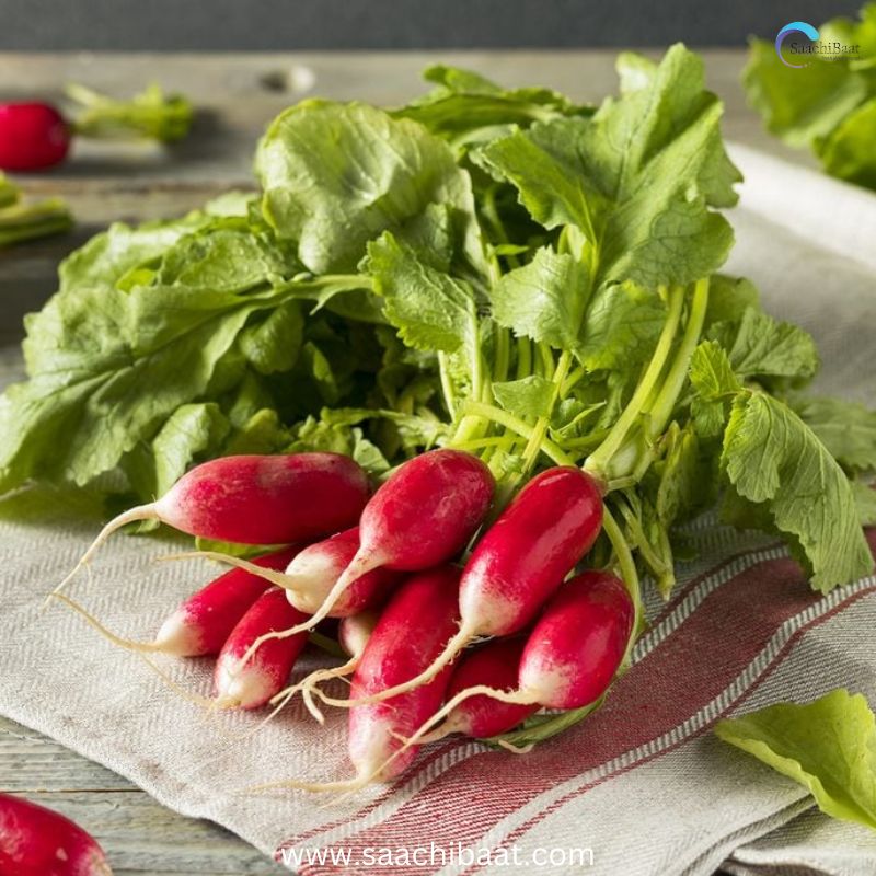 Radish Benifit