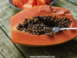 Interesting Facts – 15 September 2025 9 papaya 1