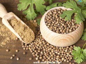 Coriander Seeds 1