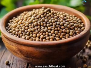 Coriander Seeds