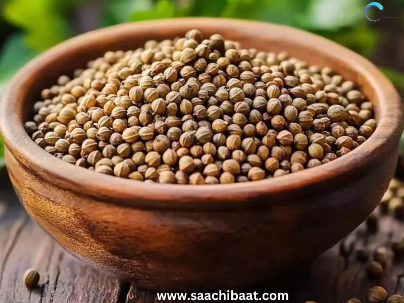Coriander Seeds