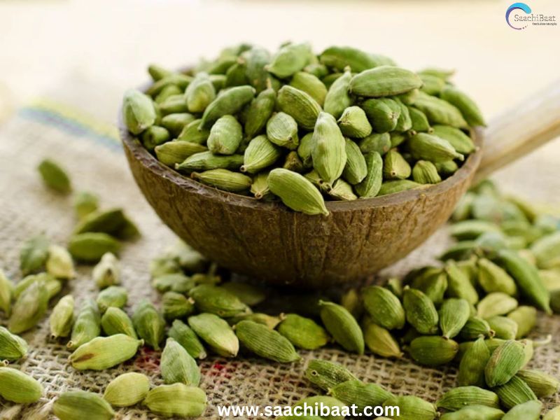 Cardamom