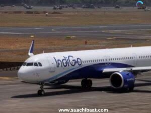 Indigo 3
