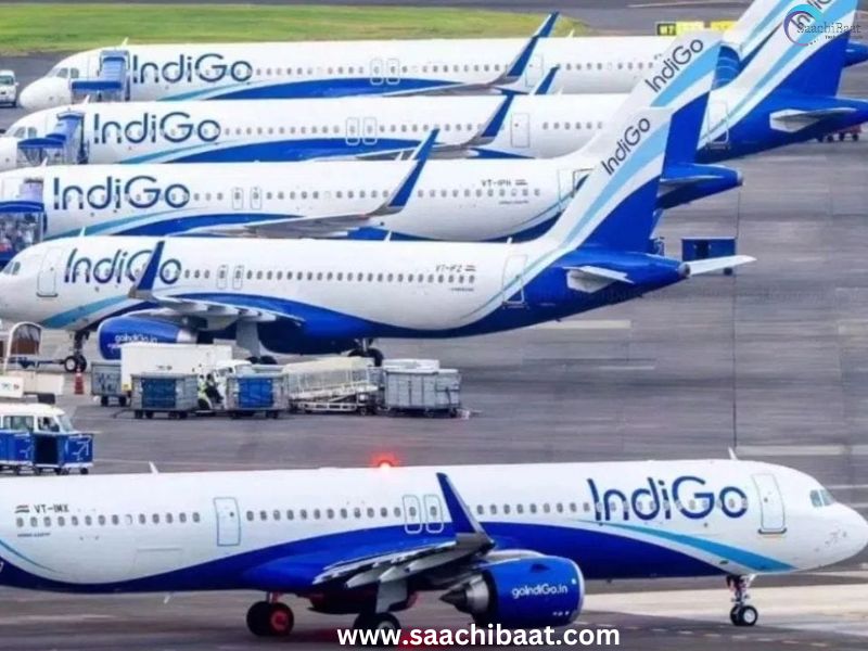 Indigo 1