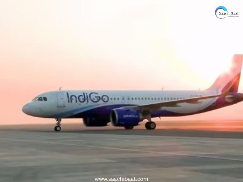 Indigo 4