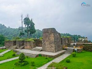 Your paragraph text 1