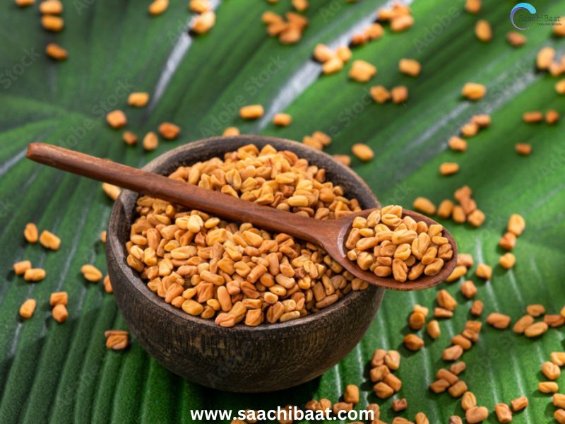 Fenugreek seeds Methi