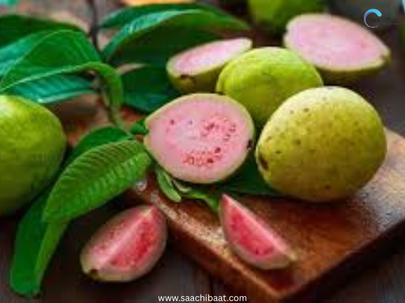 Guava benifit