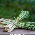 Interesting Facts – 19 March 2026